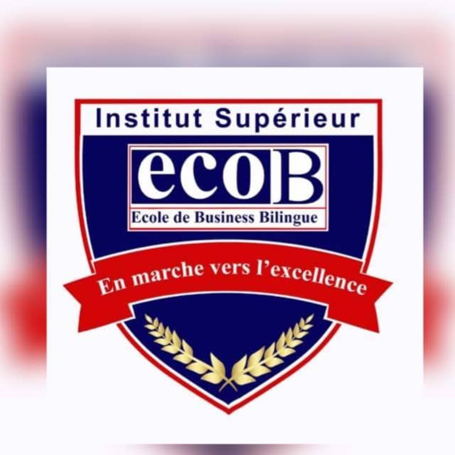 Logo de l’Institut Supérieur ECO.B, École de Business Bilingue